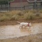 dia en el "barro"